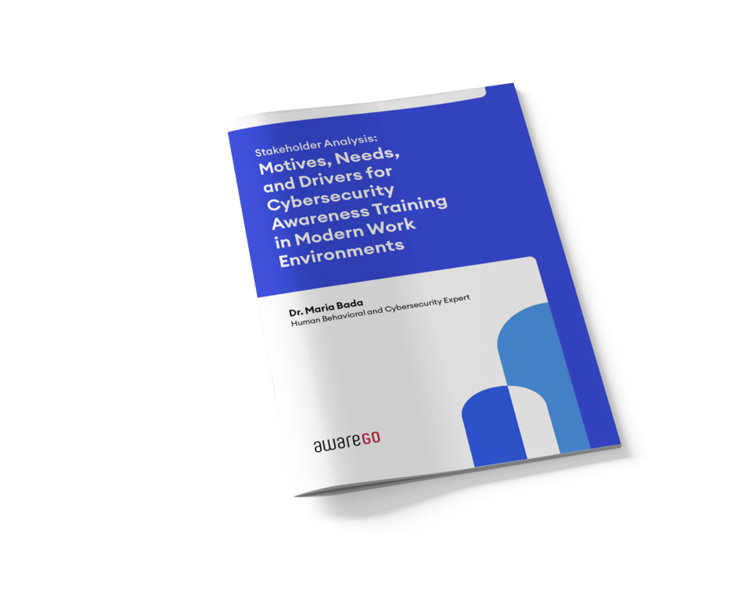 Motives, Needs, and Drivers for Cybersecurity