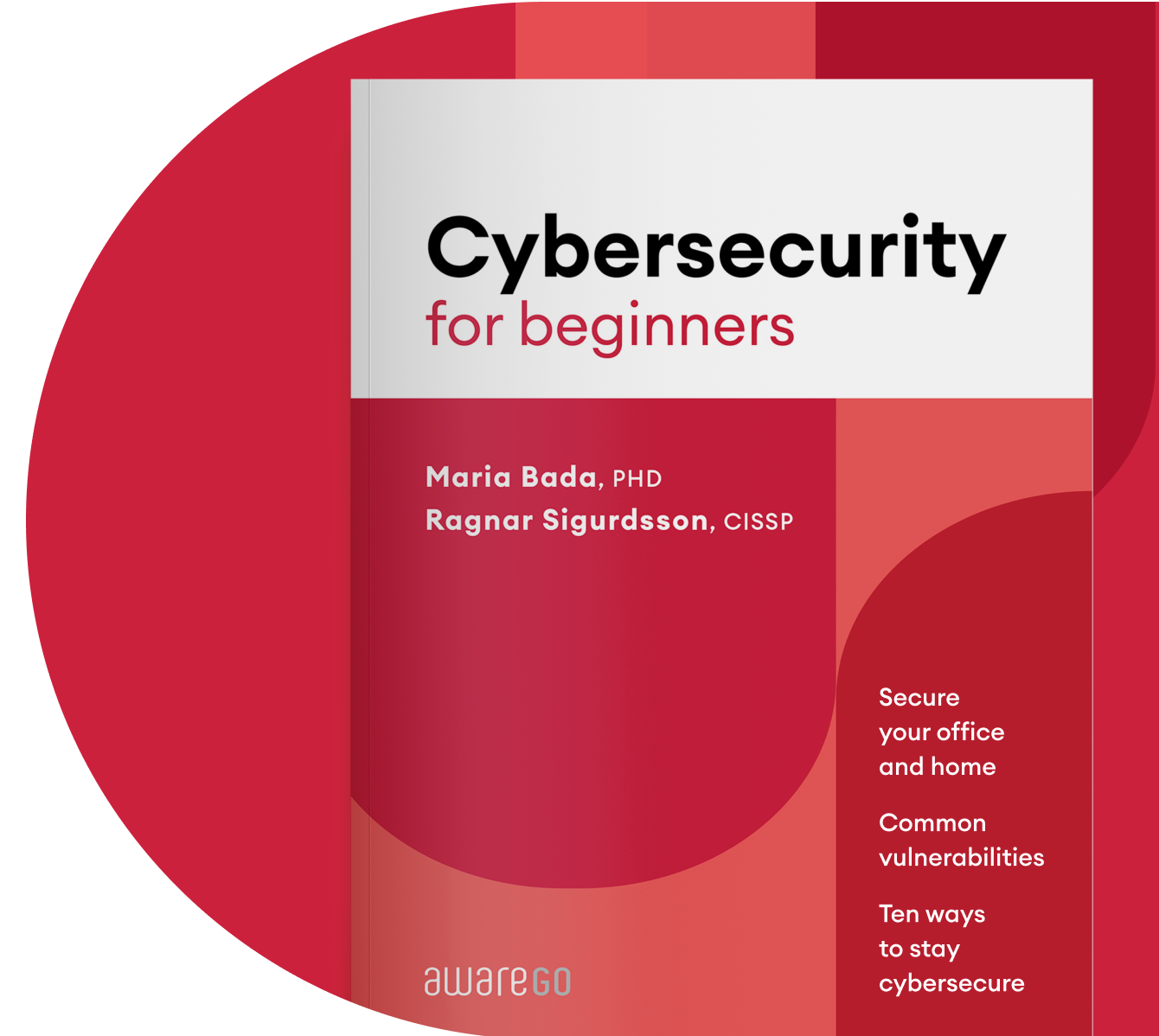 Best Cybersecurity Books For Beginners