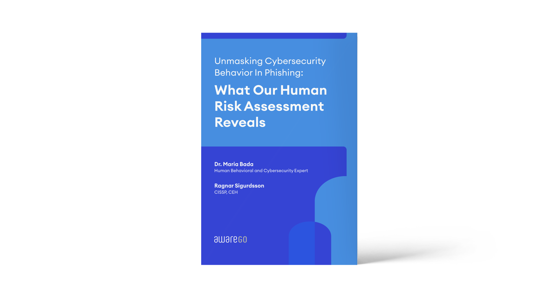 AwareGO's Human Cyber-Risk Assessment Report